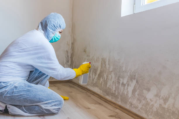Crawl Space Mold Remediation treatment of floor joists in Lebanon